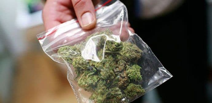 Bugarski policajci zaplijenili devet tona kanabisa Bugarski policajci zaplijenili devet tona kanabisa