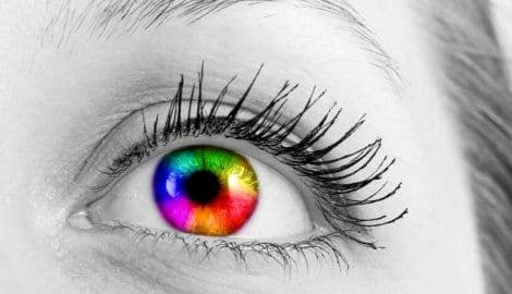 Beskrajna sreća: Kako izgleda kada daltonista prvi put vidi boje Beskrajna sreća: Kako izgleda kada daltonista prvi put vidi boje