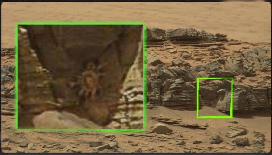 Pauci s Marsa!? Pauci s Marsa!?