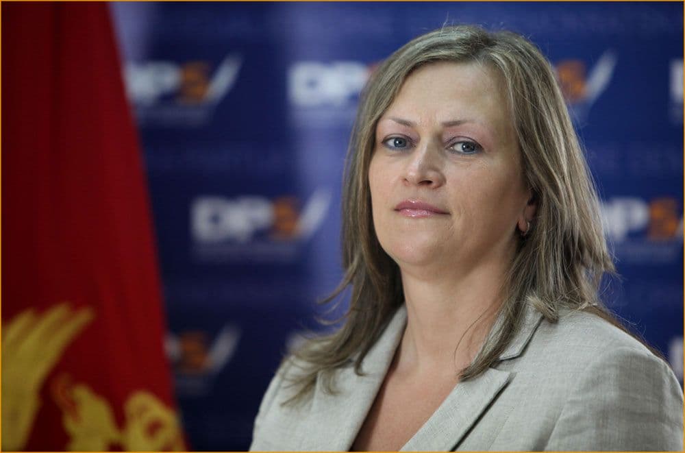 Iinicijativa za ocjenu ustavnosti izmjena Zakona o socijalnoj i dječijoj zaštiti Iinicijativa za ocjenu ustavnosti izmjena Zakona o socijalnoj i dječijoj zaštiti