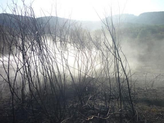 Bukti požar u Donjem Grblju  Bukti požar u Donjem Grblju