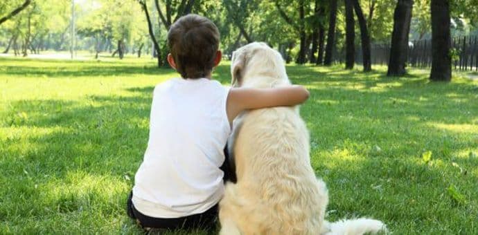 Besplatna hrana za kućnog ljubimca, ukoliko je vlasnik u finansijskoj krizi Besplatna hrana za kućnog ljubimca, ukoliko je vlasnik u finansijskoj krizi