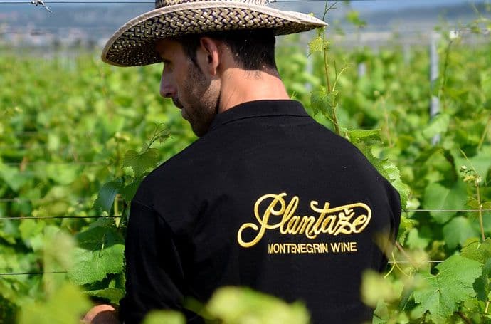 "URA želi da sruši najveći crnogorski brend" "URA želi da sruši najveći crnogorski brend"