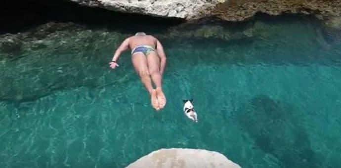 Neustrašivi mali pas skače sa stijena Neustrašivi mali pas skače sa stijena