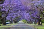 55c9f77a-7760-44a5-a9c6-2f27b0765237-australija.jpg