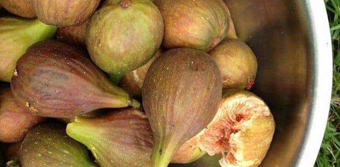 Galeta sa bademima i svježim smokvama Galeta sa bademima i svježim smokvama