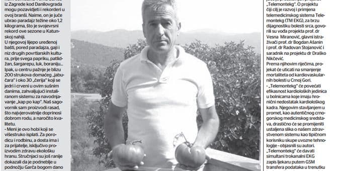 Tomov paradajz za Ginisa Tomov paradajz za Ginisa