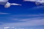55cdeda8-0f1c-4141-b783-1cbfb0765237-4.jpg