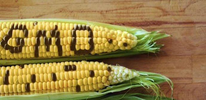 Stvari koje ne bi postojale u sadašnjem obliku da nema GMO-a Stvari koje ne bi postojale u sadašnjem obliku da nema GMO-a