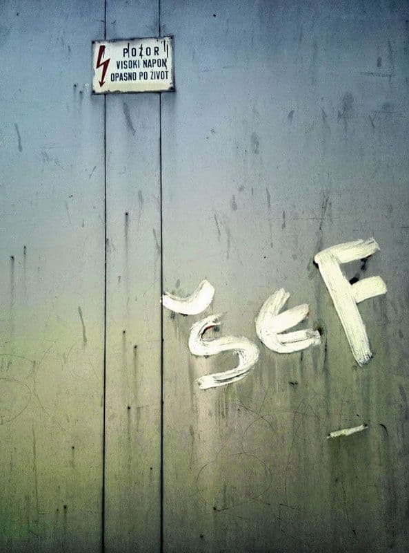 Nadežda Milenković: 48 sati premijer Nadežda Milenković: 48 sati premijer