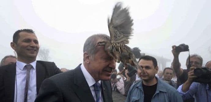 Erdoganov bliski susret sa pticom Erdoganov bliski susret sa pticom