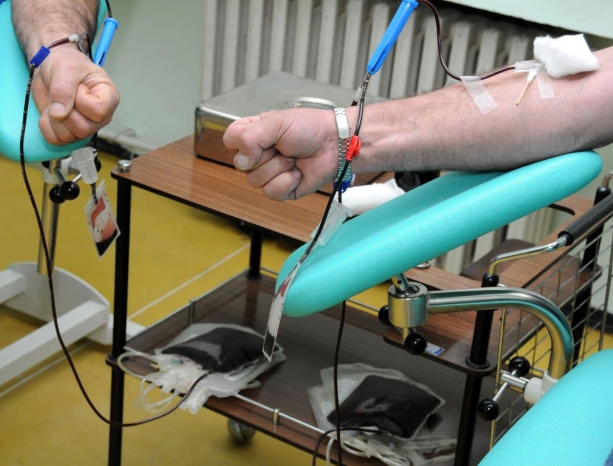 Apel Zavoda za transfuziju: Dnevno se ne prijavi ni 10 dobrovoljnih davalaca krvi Apel Zavoda za transfuziju: Dnevno se ne prijavi ni 10 dobrovoljnih davalaca krvi