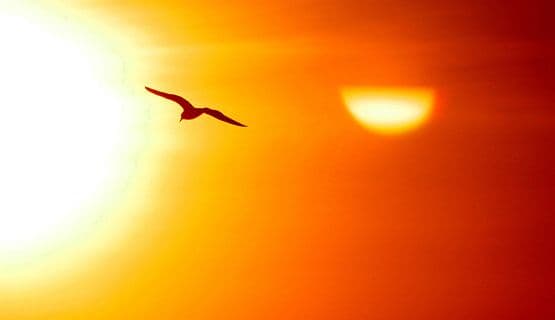 Danas temperatura do 33 stepena Danas temperatura do 33 stepena