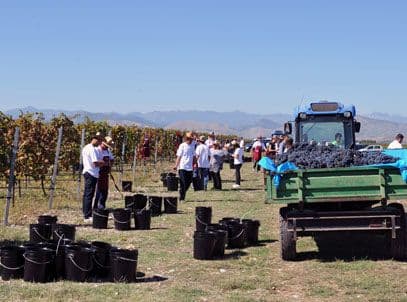 PLANTAŽE: Donijeta rješenje o otkazu za tri direktora i šefa interne revizije PLANTAŽE: Donijeta rješenje o otkazu za tri direktora i šefa interne revizije
