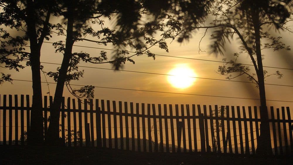 Predrag Lucić: Njemačka riječ za idiote Predrag Lucić: Njemačka riječ za idiote