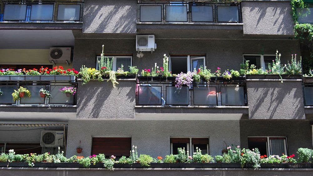 The New Yorker: Ne morate toliko da radite The New Yorker: Ne morate toliko da radite