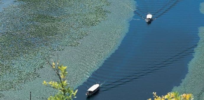 LUBURIĆ: NP "Skadarsko jezero" posjetilo 52.000 turista LUBURIĆ: NP "Skadarsko jezero" posjetilo 52.000 turista
