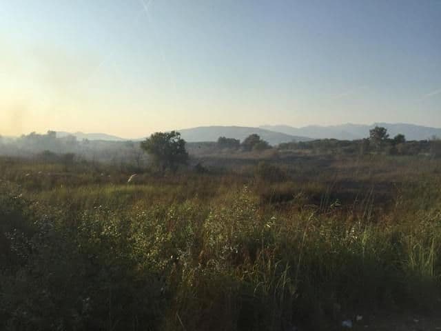 Ugašen požar na Velikoj plaži Ugašen požar na Velikoj plaži