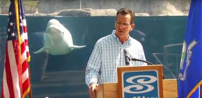 Koga briga šta priča guverner kada je tu kit (VIDEO) Koga briga šta priča guverner kada je tu kit (VIDEO)