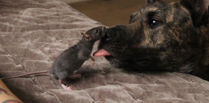 Prijateljstvo ruši zakone prirode Prijateljstvo ruši zakone prirode