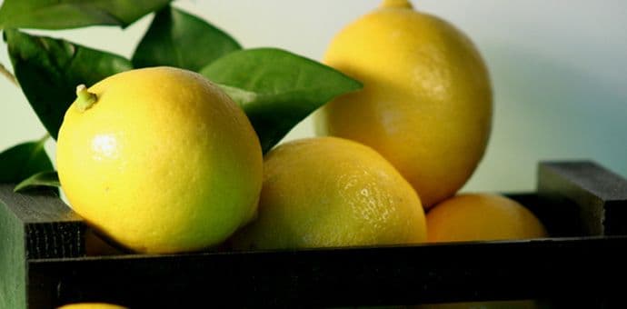 Prirodni tretman za ubrzanje metabolizma i čišćenje limfnog sistema Prirodni tretman za ubrzanje metabolizma i čišćenje limfnog sistema