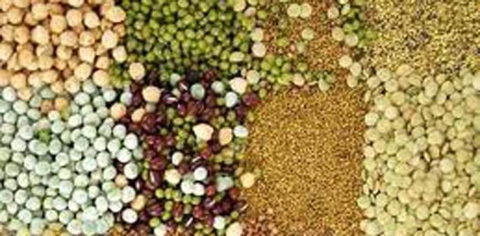 Crna Gora uskoro članica Međunarodne unije za zaštitu novih biljnih sorti Crna Gora uskoro članica Međunarodne unije za zaštitu novih biljnih sorti