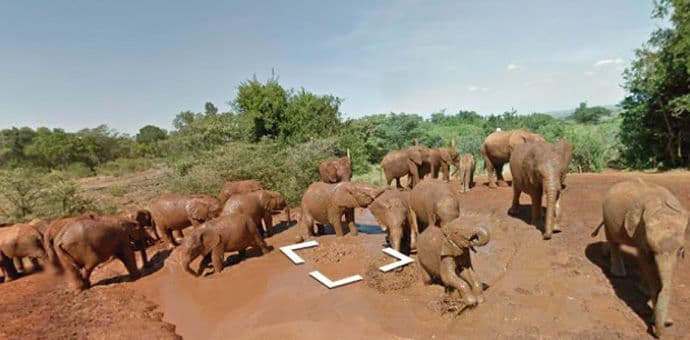Pomoću Gugla "posjetite" afričke rezervate Pomoću Gugla "posjetite" afričke rezervate