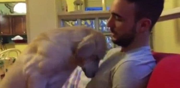 Kako se izvinjava zlatni retriver (VIDEO) Kako se izvinjava zlatni retriver (VIDEO)