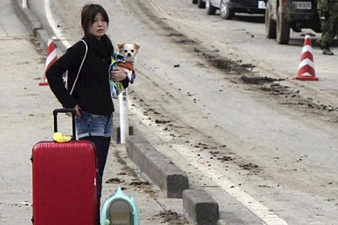 Japanci padaju u nesvijest kako bi provjerili vjernost svog psa Japanci padaju u nesvijest kako bi provjerili vjernost svog psa