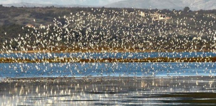 Osnovano Savjetodavno tijelo za Solanu Osnovano Savjetodavno tijelo za Solanu