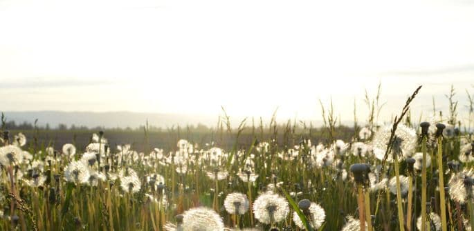 Đotiš bioritam (21. - 27. septembar) Đotiš bioritam (21. - 27. septembar)