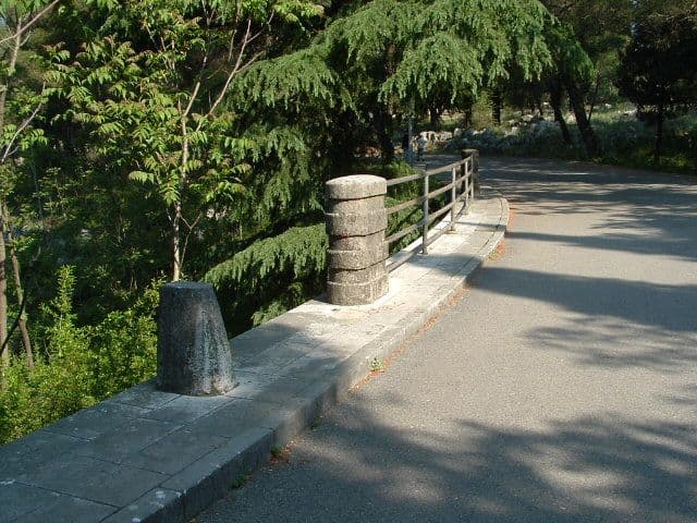 Slučaj ubijenog psa na Gorici u fazi izviđaja Slučaj ubijenog psa na Gorici u fazi izviđaja