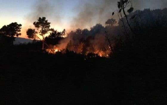 Vatra guta šumu iznad Kraljičine plaže Vatra guta šumu iznad Kraljičine plaže