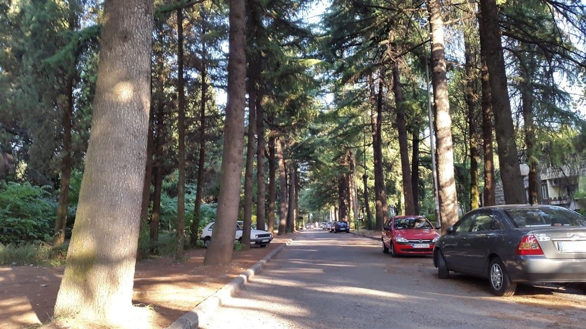 Zatvorena Beogradska ulica, Agencija ne odgovara na pitanja Zatvorena Beogradska ulica, Agencija ne odgovara na pitanja