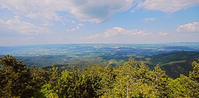 Avion iz Srbije srušio se u Bosni, jedna osoba poginula Avion iz Srbije srušio se u Bosni, jedna osoba poginula