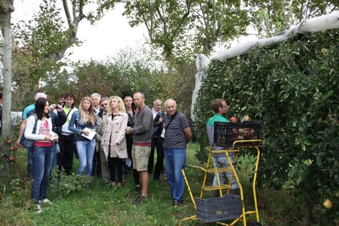 Organski proizvođači iz Crne Gore nastavili obilazak proizvođača u Francuskoj Organski proizvođači iz Crne Gore nastavili obilazak proizvođača u Francuskoj