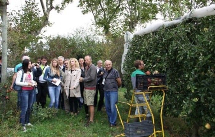 Crnogorskim organskim proizvođačima nisu strani propisi EU Crnogorskim organskim proizvođačima nisu strani propisi EU