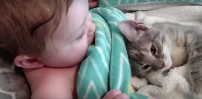 Kako se bude mačka i beba Kako se bude mačka i beba