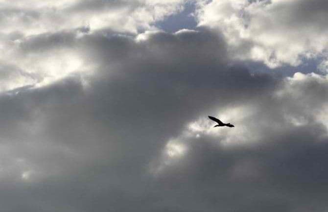 Sjutra promjenljivo oblačno Sjutra promjenljivo oblačno