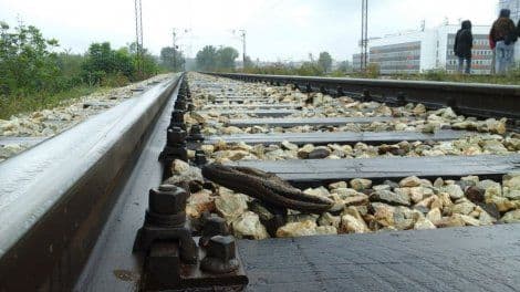 Dali 14 miliona za sanaciju pruge Dali 14 miliona za sanaciju pruge