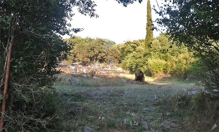 Kažnjeni vlasnici imanja zbog izazivanja požara Kažnjeni vlasnici imanja zbog izazivanja požara