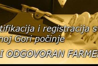 Project "Strengthening of the Veterinary Service": Be a responsible farmer 