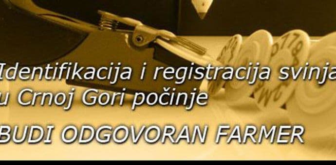 Project "Strengthening of the Veterinary Service": Be a responsible farmer  Project "Strengthening of the Veterinary Service": Be a responsible farmer