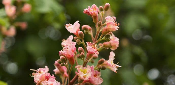 Za vikend bez padavina, temperatura oko 26 stepeni Za vikend bez padavina, temperatura oko 26 stepeni