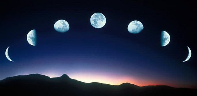 Nedjeljni bioritam (10. jun - 16. jun) Nedjeljni bioritam (10. jun - 16. jun)