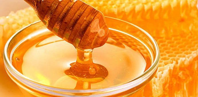 Edukacija o zaštiti meda geografskom oznakom    Edukacija o zaštiti meda geografskom oznakom