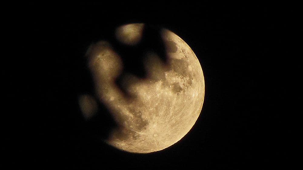 Guernica : Cijepanje mjeseca Guernica : Cijepanje mjeseca