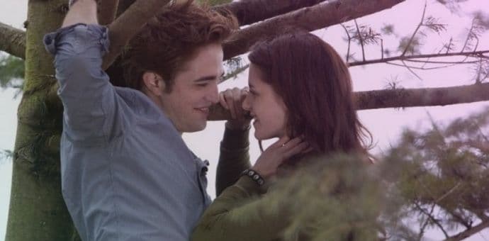 Upravo je izašao još jedan roman "Sumrak sage" Upravo je izašao još jedan roman "Sumrak sage"