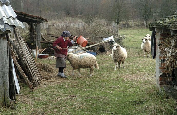 Stopirana isplata staračkih naknada Stopirana isplata staračkih naknada