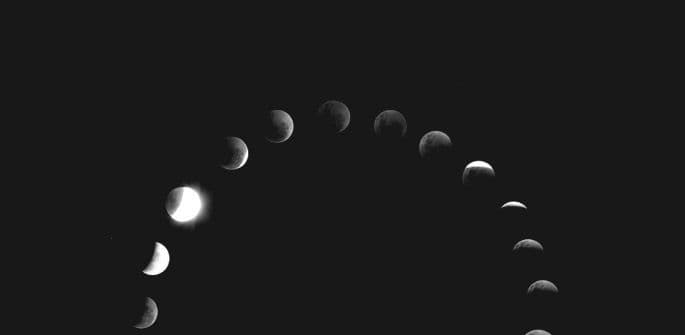 ĐOTIŠ: Nedjeljni bioritam (12 - 18. oktobar) ĐOTIŠ: Nedjeljni bioritam (12 - 18. oktobar)